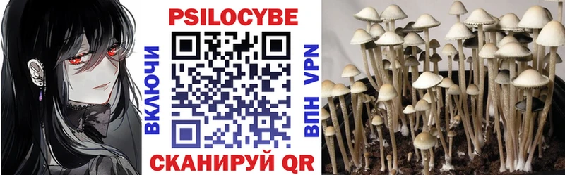 Галлюциногенные грибы прущие грибы  Купить где  Аргун 