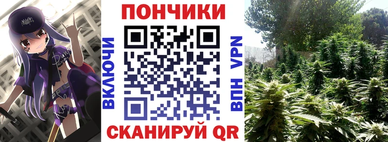 Каннабис OG Kush  Купить  Аргун 